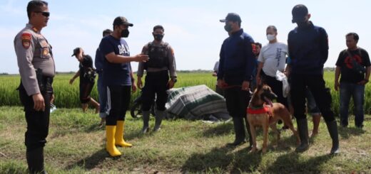 Pihak kepolisian dari Polres Tegal melakukan penyelidikan tewasnya seorang petani di areal pesawahan. /Ist