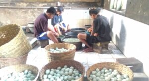 Proses pembuatan telur asin di Brebes. /Arah Pantura